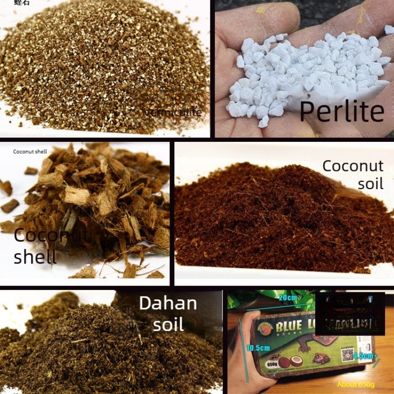 Sphagnum Moss Dry - Ladrillo de fibra de coco para