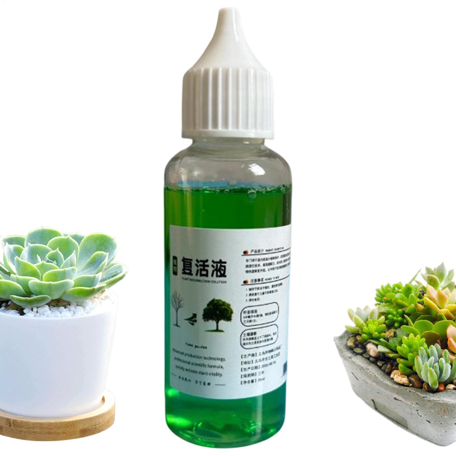 Root Stimulator Liquid - Estimulador de raíces para plantas, agente