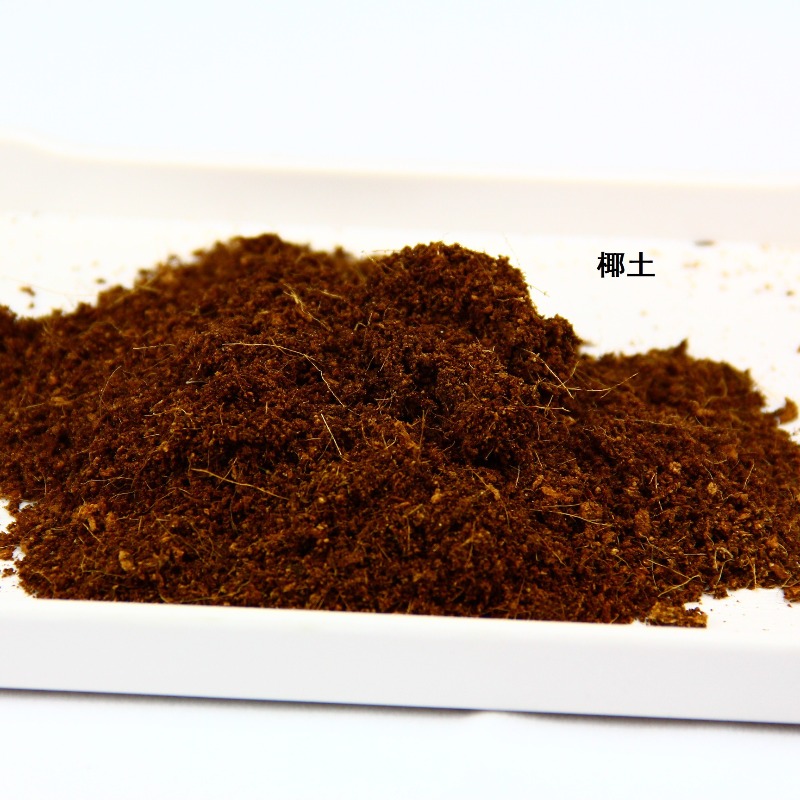 Ladrillo de fibra de coco para - Sphagnum Moss Dry reseña y precio