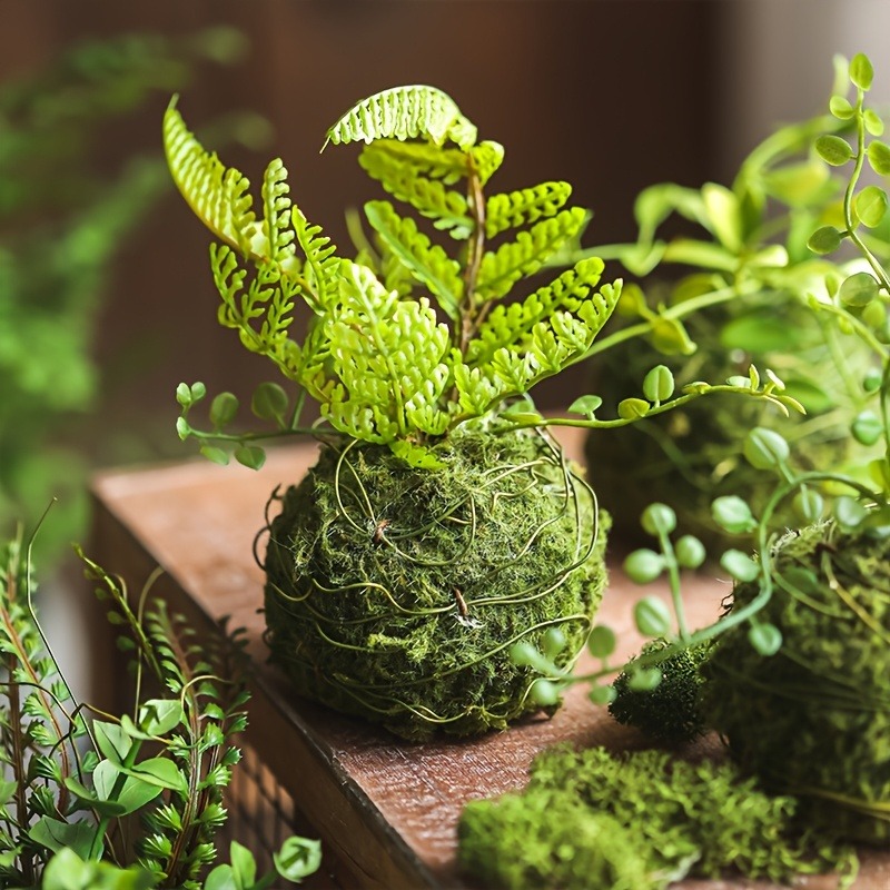 Maceta con Bola de Musgo Artif - Sphagnum Moss Dry reseña y precio