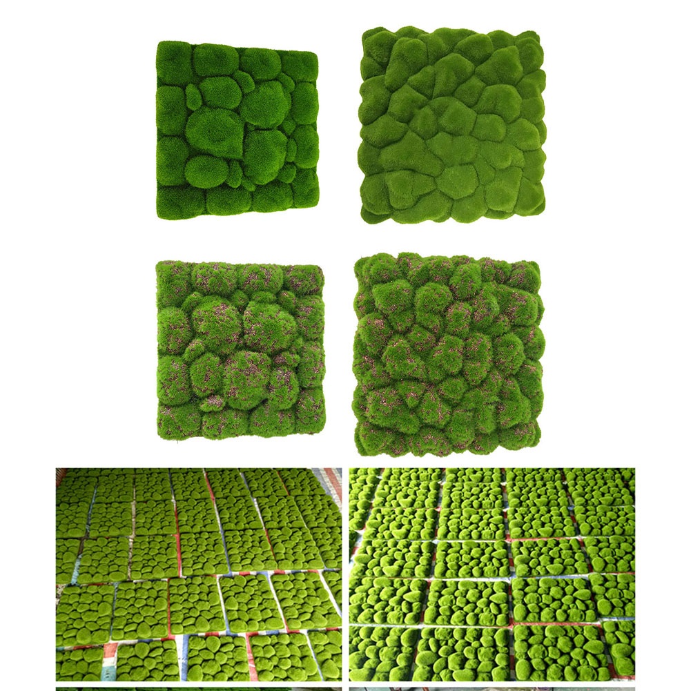 Tablero de espuma de musgo sim - Sphagnum Moss Dry reseña y precio
