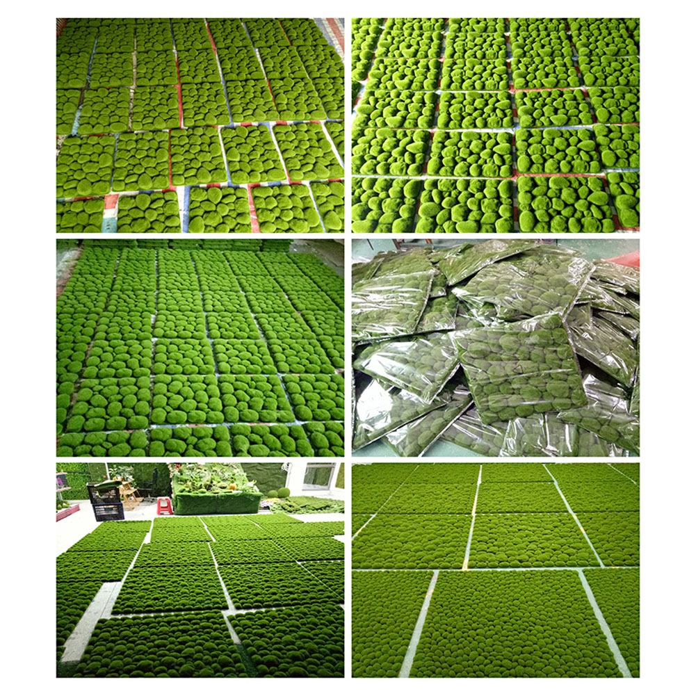Tablero de espuma de musgo sim - Sphagnum Moss Dry reseña y precio